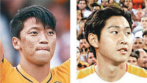 황소, 늑대무리 속으로…