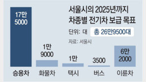 서울시, 2025년까지 전기차 27만대 보급 