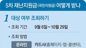 1인가구 건보료 17만원 이하면 재난금 지급… 내달 6일 대상 조회 
