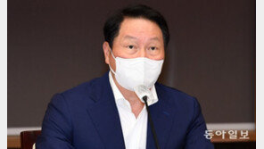 최태원 SK 회장, ‘허위사실’ 유포 유튜브 채널 고소