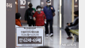 독감 접종 코앞인데 수급난…“출하승인 확대로 공급 원활해질 것”