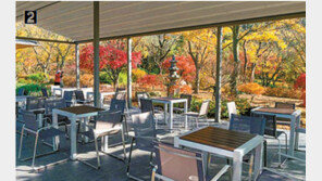 休… 지친 일상, 숲속에서 쉼표 찍어볼까