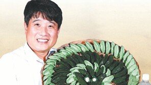항산화 성분 쑥의 6배… 담백하고 쫄깃한 모싯잎 송편