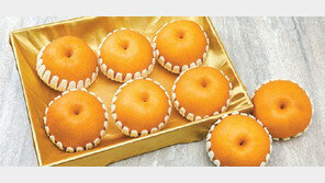 천혜의 자연이 키운 배… 글로벌 시장서 인정