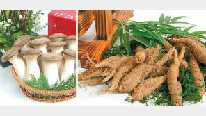 영산강 상류, 청정 자연이 선사하는 ‘힐링푸드’ 한가득 