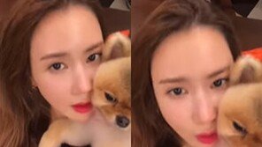 이다해, 연인 세븐과 럽스타 “어떤 ‘븐’이 자꾸 올리라고” 