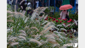 가을 문턱, ‘200㎜ 이상’ 갑작스런 폭우 이유는?