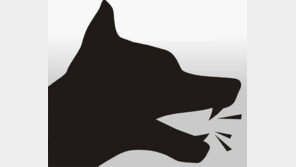 사나운 개인데…알고 만졌다가 물리면? 견주 ‘무죄’