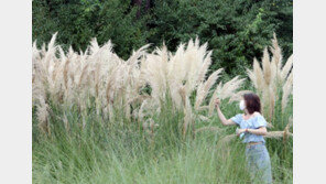 벌써 가을이 왔나