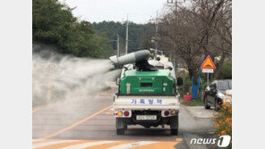 계란값 상승 ‘조류인플루엔자’ 올 겨울도 위험…정부 ‘사전대비’
