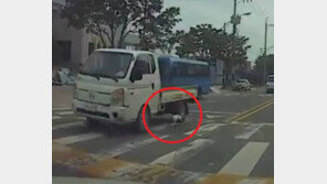 트럭에 강아지 매달고 도로 질주…피투성이 모습에도 “실수였다”