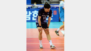 대한항공 “‘데이트 폭력 의혹’ 정지석, 훈련 제외된 상태로 조사 중”