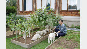의료파업 앞두고…풍산개 사진 올린 文에 “이건 아니다” 비판  