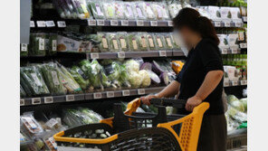 물가에 집값까지 ‘역대급 상승’…“재난금 풀리면 더 오른다”