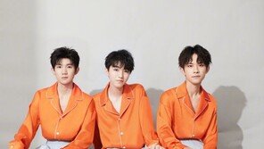 中 “전통 문화 지켜야… 화장·액세서리 착용 남자 아이돌 활동 금지”