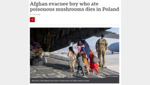 천신만고 아프간 탈출한 5세, 난민캠프서 독버섯 먹고 사망