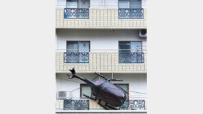 [고양이 눈]괴수 출현