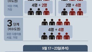 올 추석 수도권도 일가친척 8인 모임 가능… 성묘는 4명까지 