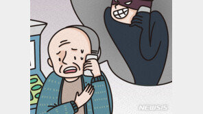 “엄마, 비번 좀 알려줘” 중장년층 겨냥하는 사기문자
