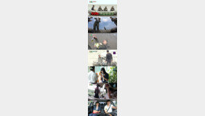 이상민X김준호X도경완, 뱃살은 못 빼도 웃음 잡은 뱃살원정대