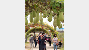 성큼 다가온 가을