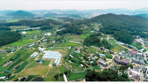 토지거래허가구역 ‘빈틈’… 일부 지구, 지정 한달 걸려 투기 못막아 