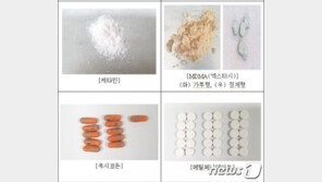 “일본서 따돌림 기억 잊으려” 마약 손댄 20대 대학생 구속송치