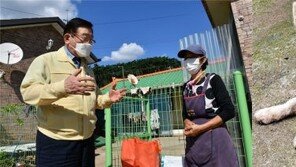 빗속 40시간 치매 할머니 구한 백구…국내 첫 ‘명예구조견’ 됐다