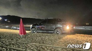 울산 해변 골프남, 이번엔 트럭 몰고 모래사장 질주…처벌은?