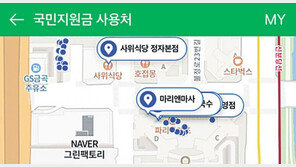 검색창에 ‘국민지원금’ 치면… 주변 사용가능 업체 알려줘