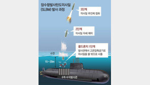 軍, 국산 SLBM 6년뒤 48기 보유 계획 