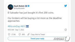엘살바도르 정부, 비트코인 공식채택 앞두고 200개 샀다