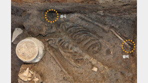 신라, 135㎝ 성인 여성 제물로 바쳤다…경주 월성 서성벽서 인신공양 인골 발굴