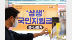 선관위 “재난지원금 지나친 홍보, 선거 영향 우려땐 엄정 대응”