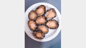 영양만점 완도 전복, 집까지 싱싱하게 배송