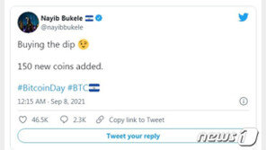 엘살바도르 정부 비트코인 폭락하자 150개 추가 매입