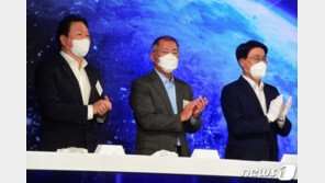 정의선·최태원·최정우 등 총출동… 한국판 수소위원회 출범