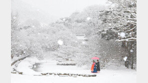 3321:1 경쟁률 뚫고 대통령상 받는 ‘꽃 관광지’ 사진