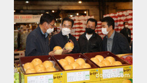 이성희 농협중앙회장, 추석 앞두고 농산물 수급상황 점검