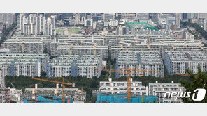 1인가구-무자녀 신혼 ‘특공’ 기회 확대…‘아랫돌 빼서 윗돌 괴기’ 비판도