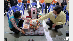세계에 감동 준 ‘4살 백구’…CNN “치매 주인 구해 韓 첫 구조견 됐다”