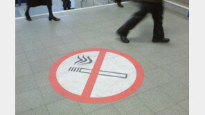 “부자들에겐 공손해라” 경찰관에 갑질한 싱가포르 여성 2명 벌금형