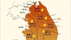 올해도 ‘지각 단풍’…설악산 28일 시작으로 내달 하순 절정