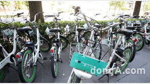 9월 자전거 사고 사망자 최다… “고령자·토요일 오후 주의해야”