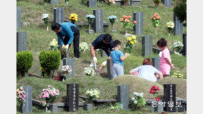 추석 앞두고 벌초