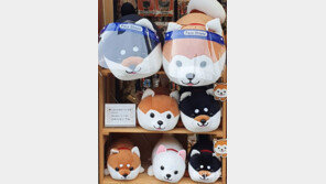 [고양이 눈]인형도 사회적 거리 두기