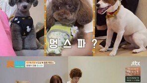 윤은혜·홍석천, 반려견과 캠핑 or 펫캉스…“가이드 같지 않아” 결과는