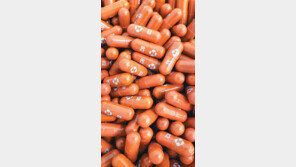 ‘먹는 코로나 치료제’ 90만 원?…당국 “입원비 등 비교 평가해야” 