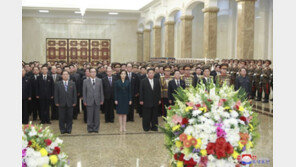 [청계천 옆 사진관] 북한 김여정 실종(?) 사건