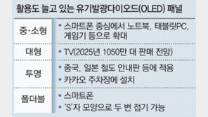 프리미엄 TV-모바일 흥행에 OLED ‘쑥쑥’ 
